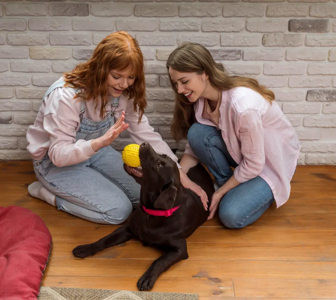best online vet consultation india