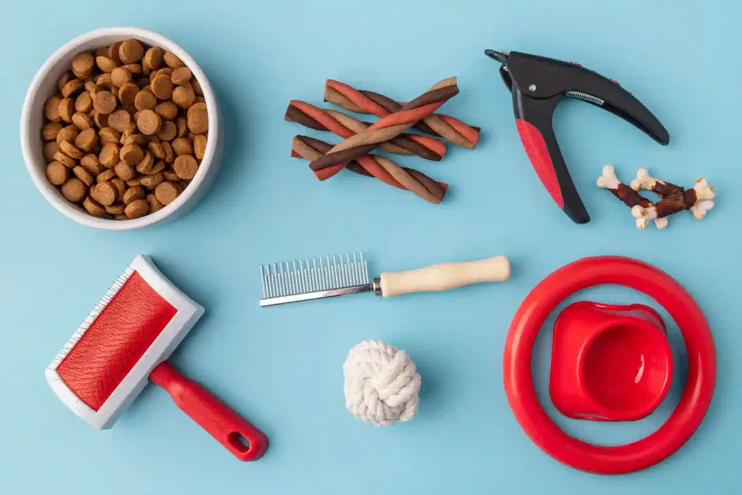 How to Groom a Cat at Home