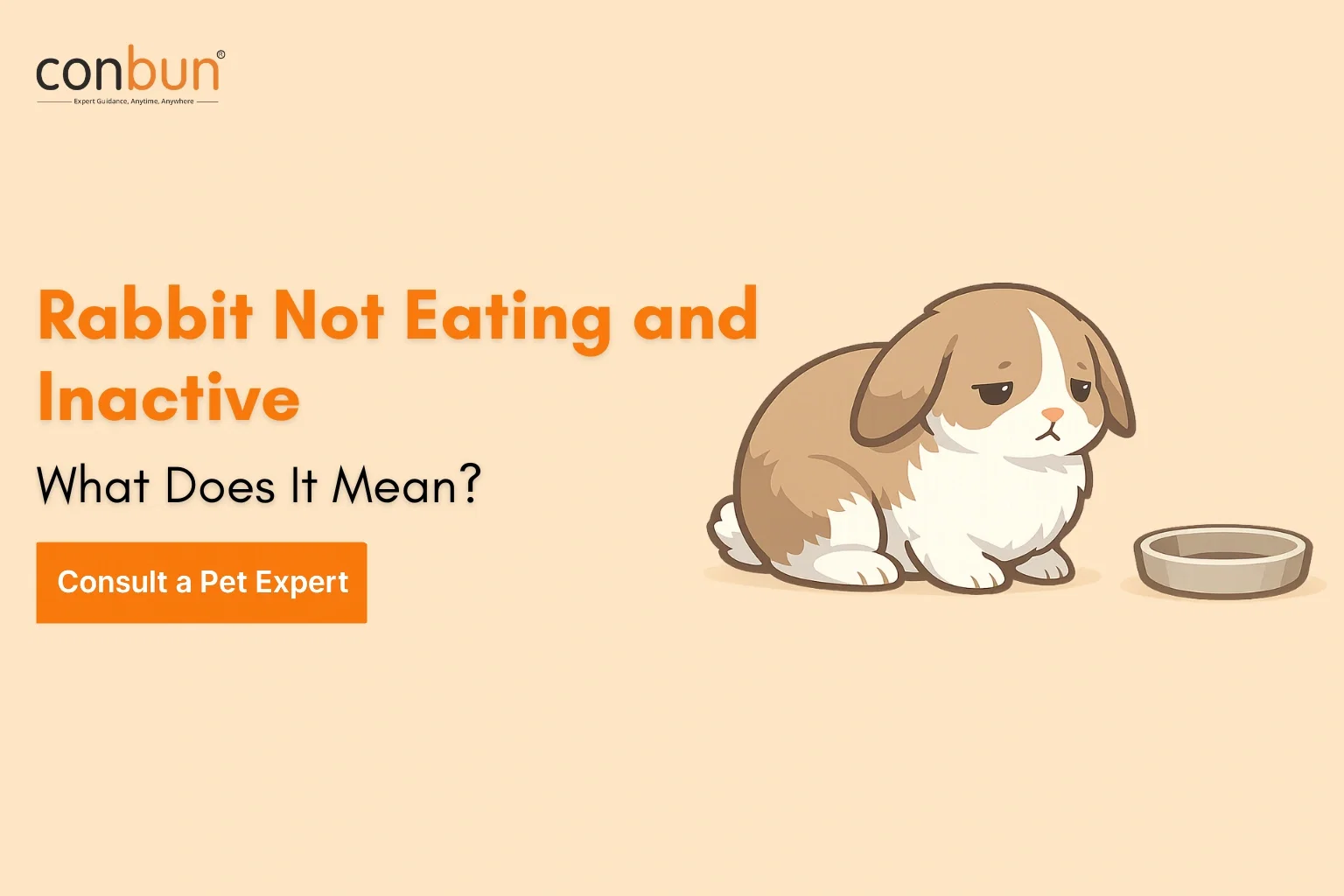 best online vet consultation india
