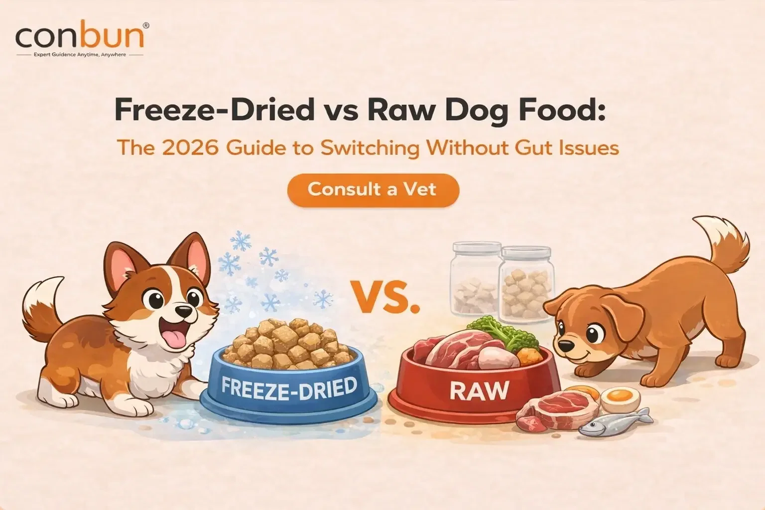 best online vet consultation india
