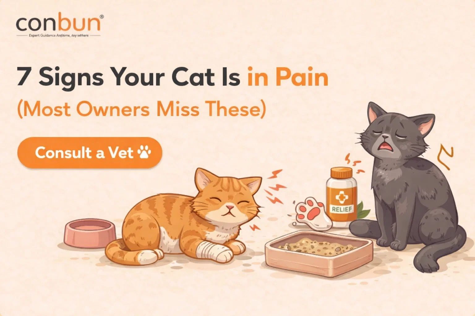 best online vet consultation india