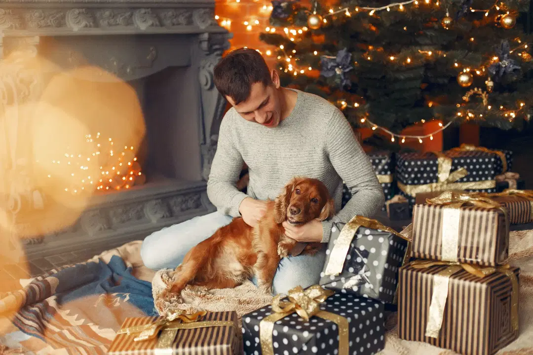 New Year Fireworks & Pets