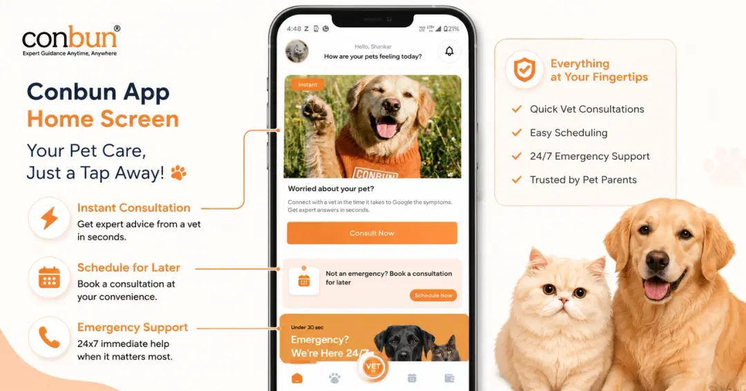 Online Vet Consultation Using the Conbun App