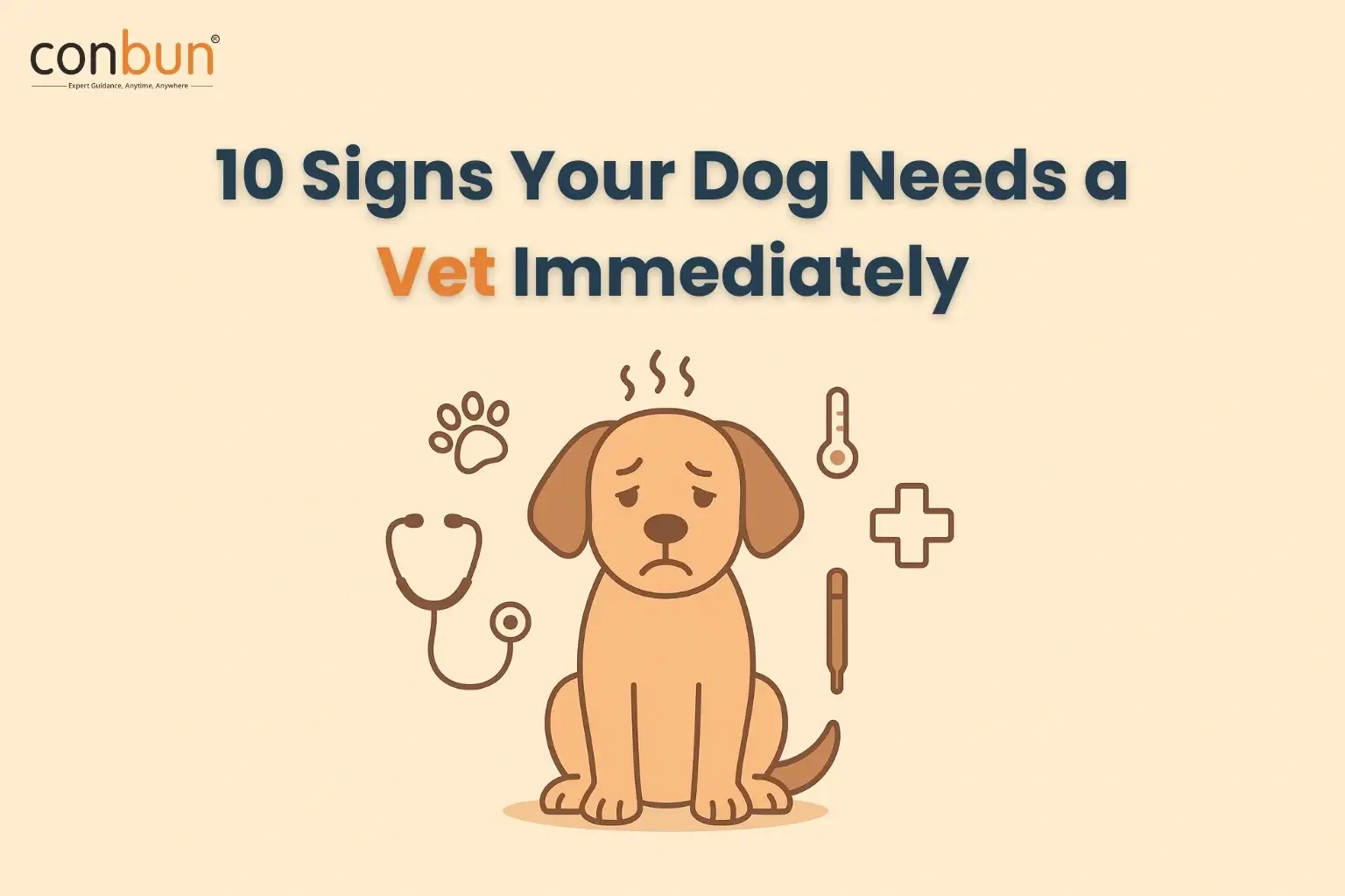 best online vet consultation india
