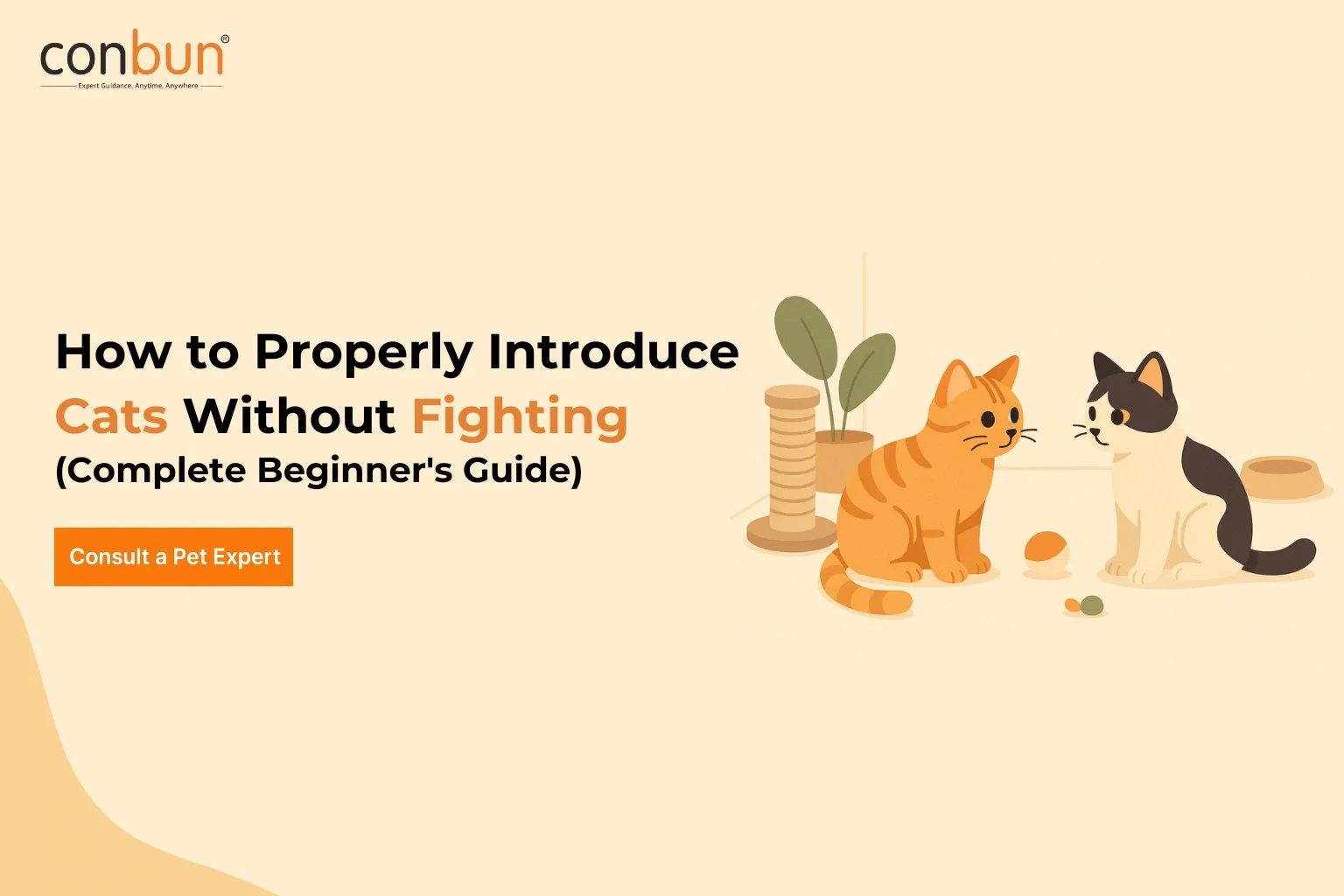 best online vet consultation india