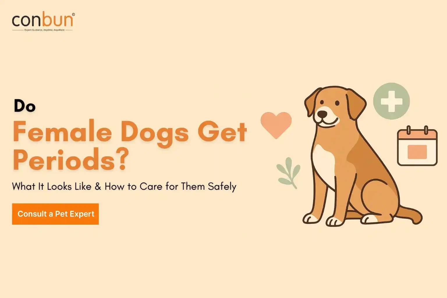 best online vet consultation india