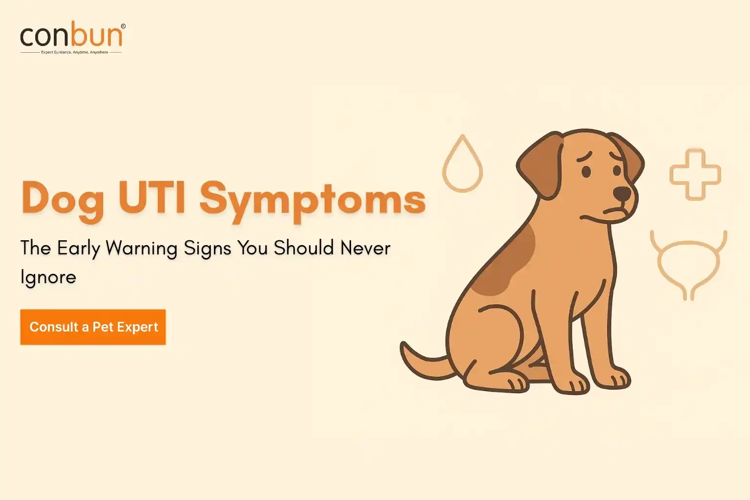 best online vet consultation india