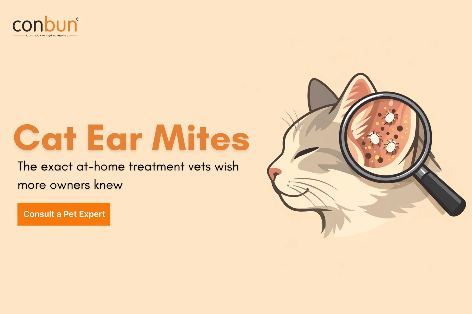 best online vet consultation india