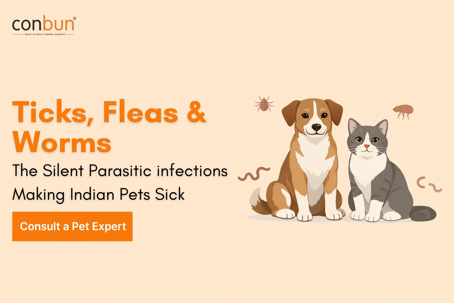 best online vet consultation india