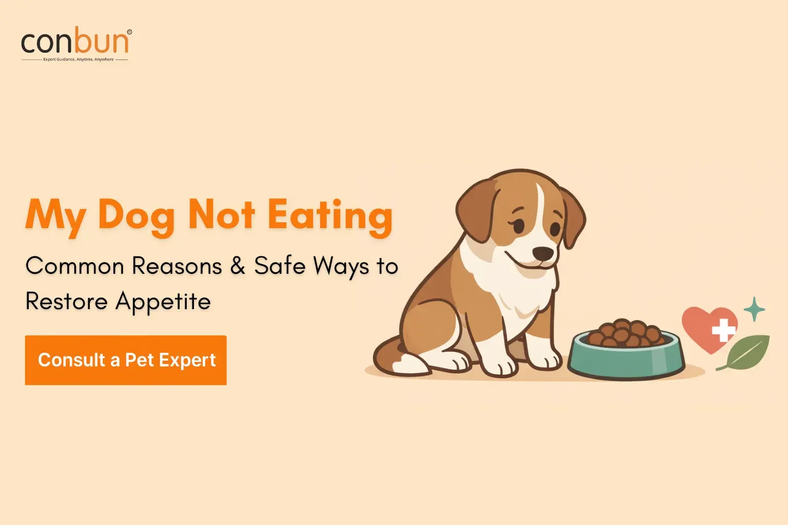best online vet consultation india