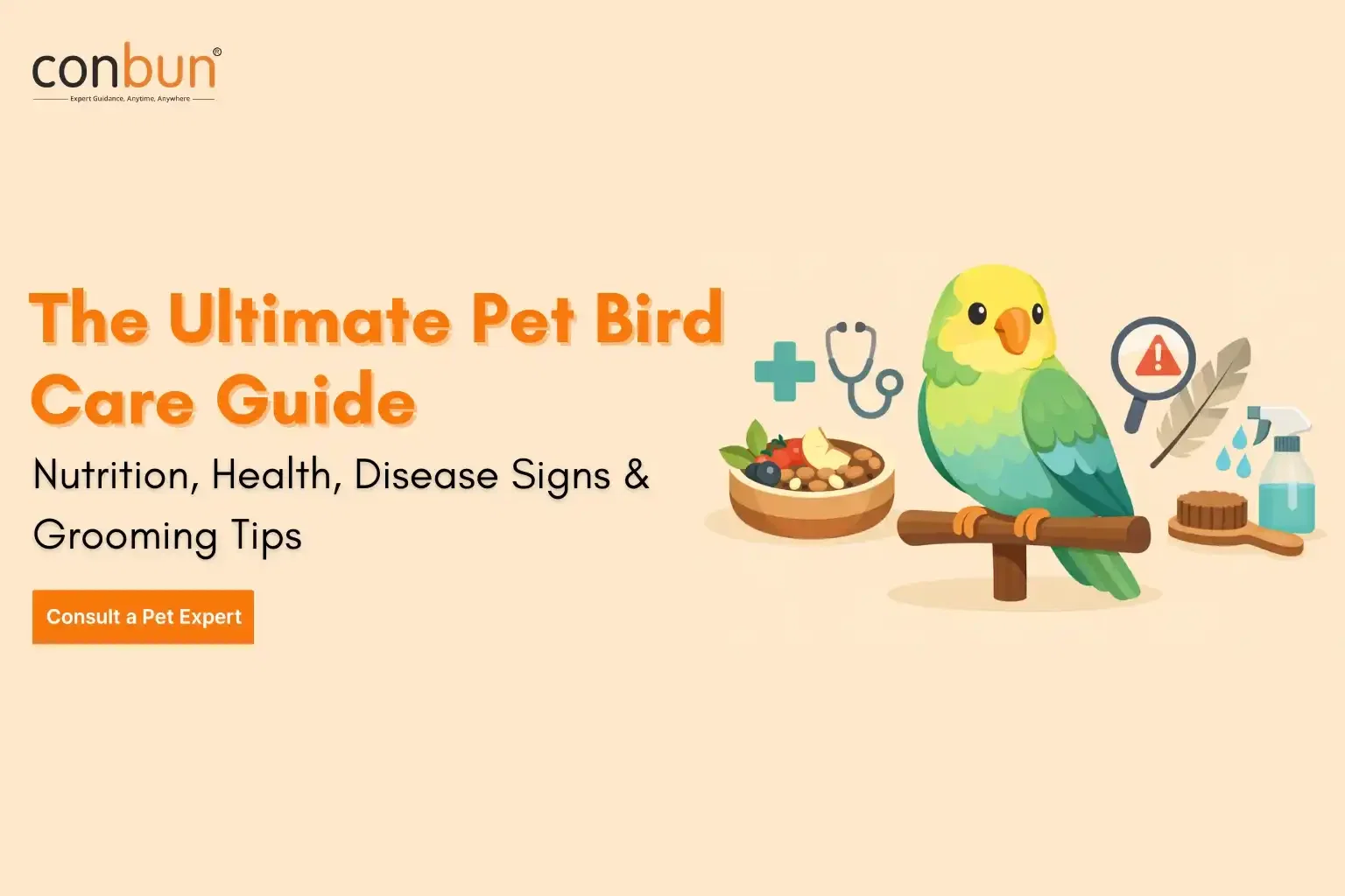 best online vet consultation india