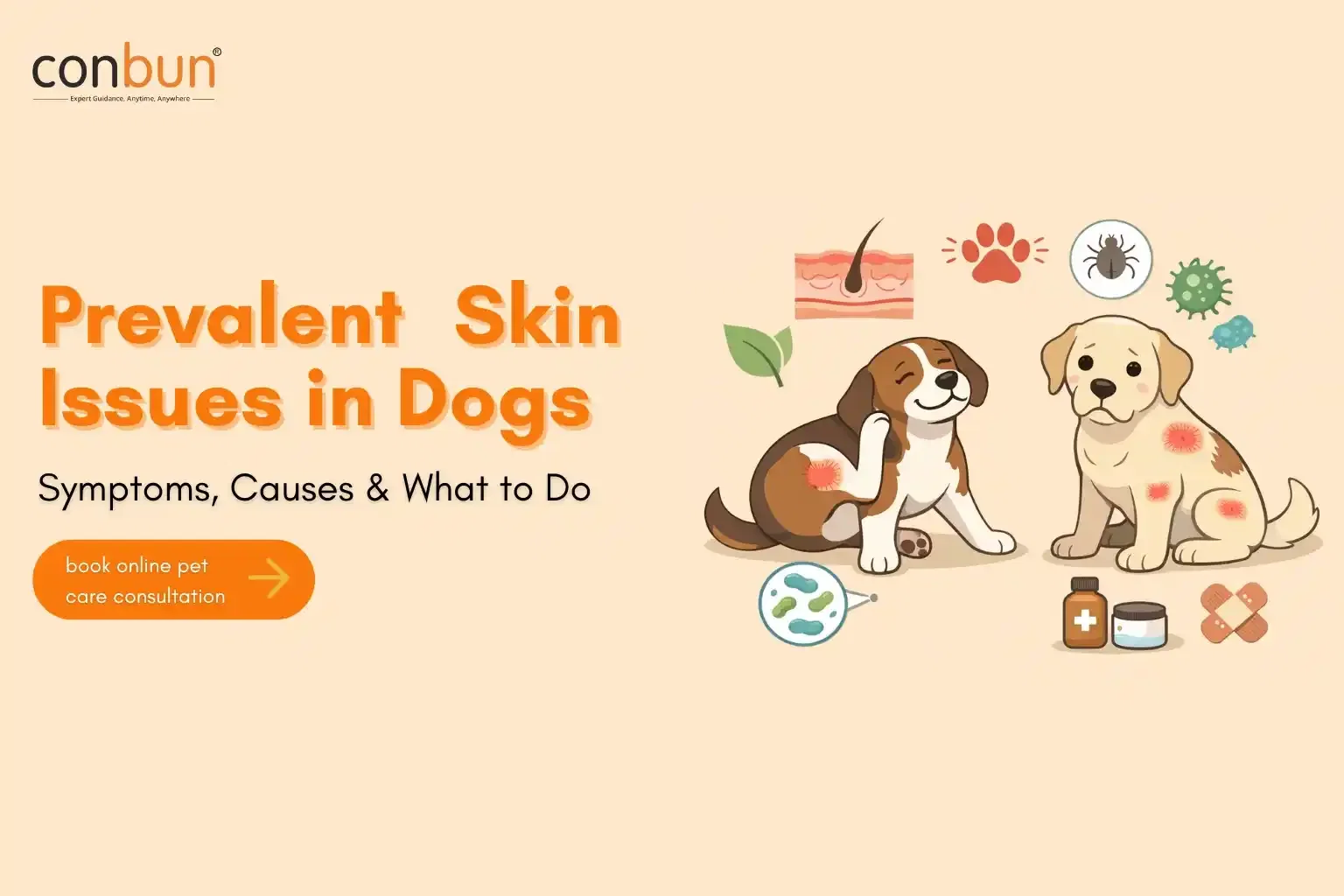 best online vet consultation india