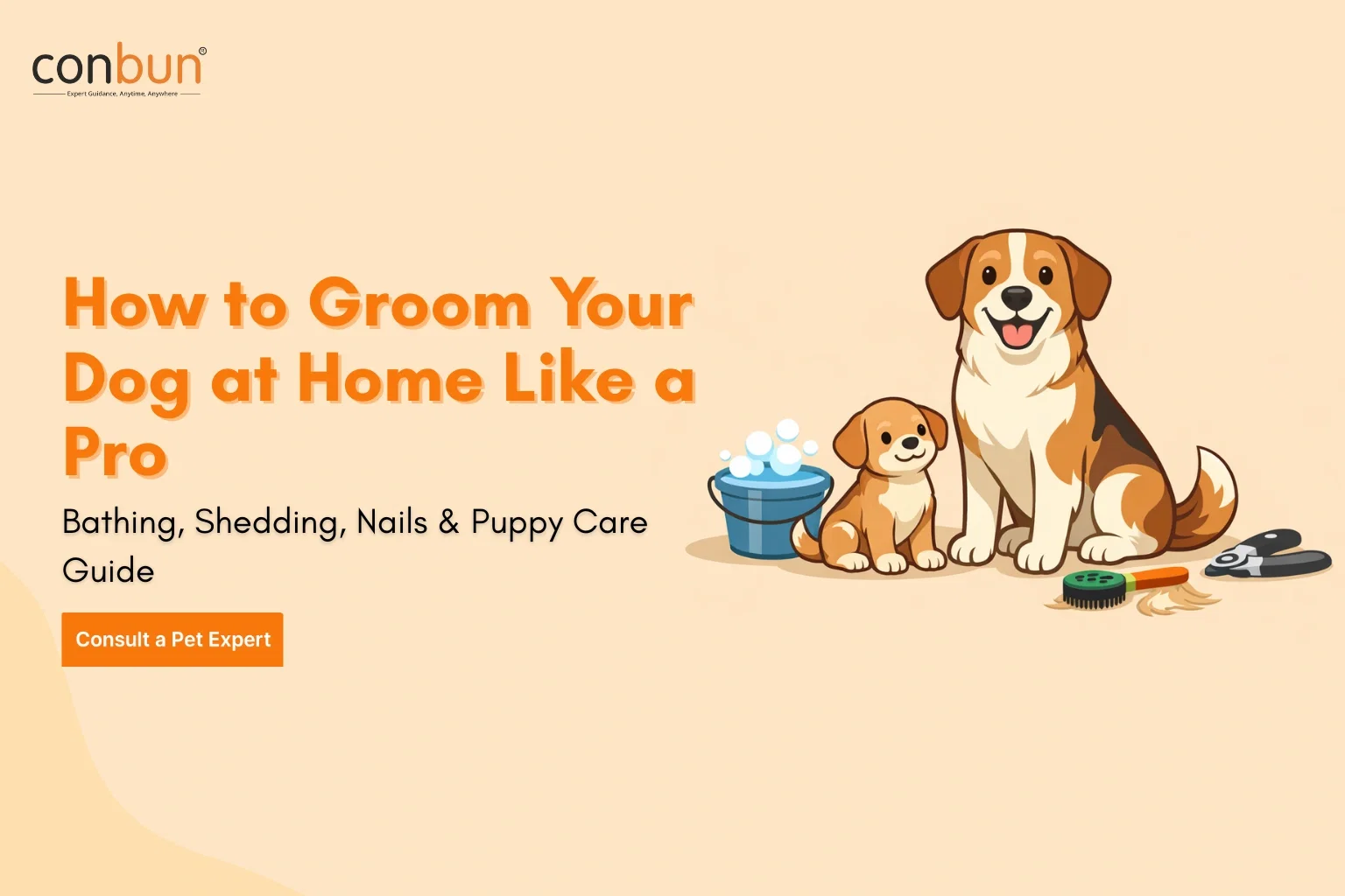 best online vet consultation india