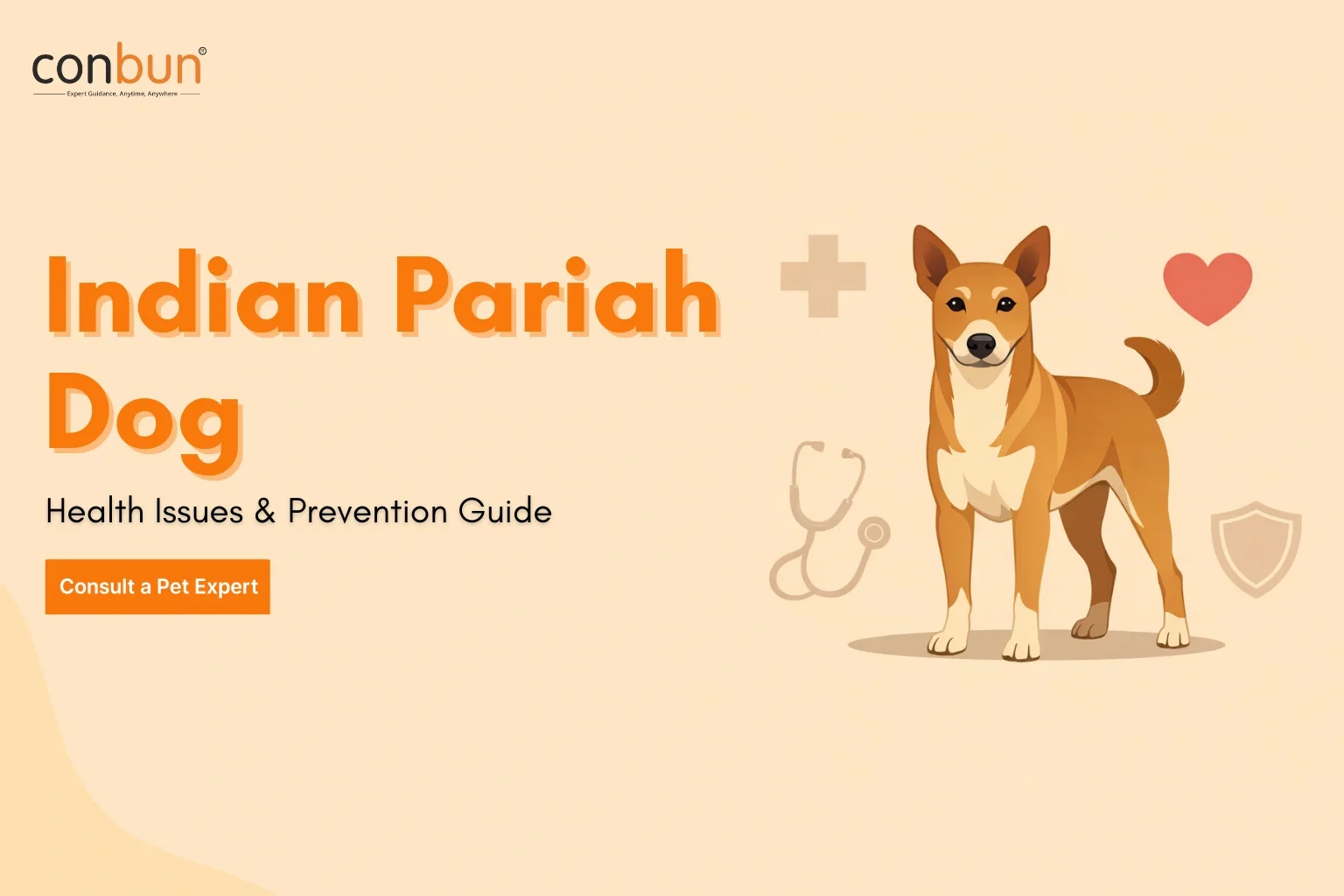 best online vet consultation india
