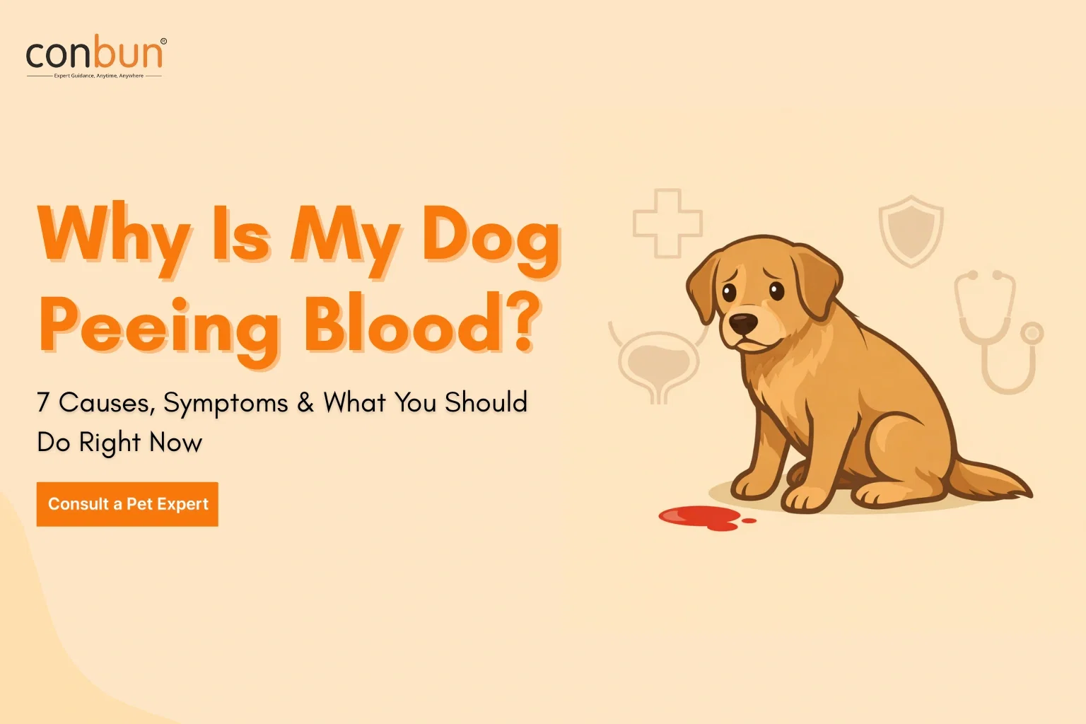 best online vet consultation india