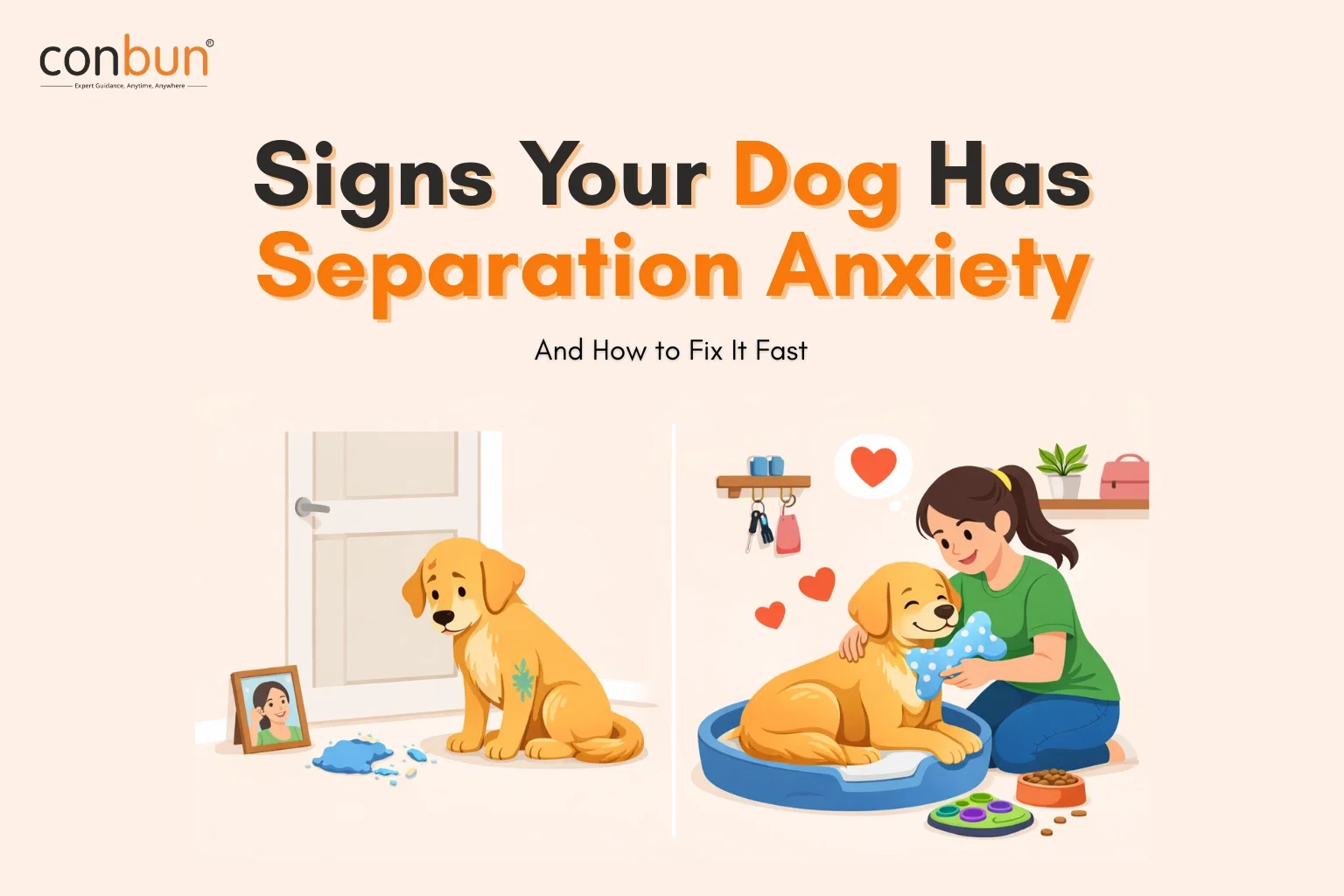 best online vet consultation india