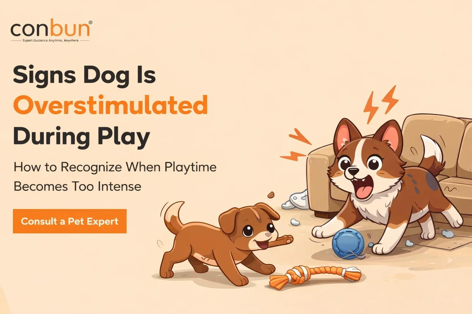best online vet consultation india