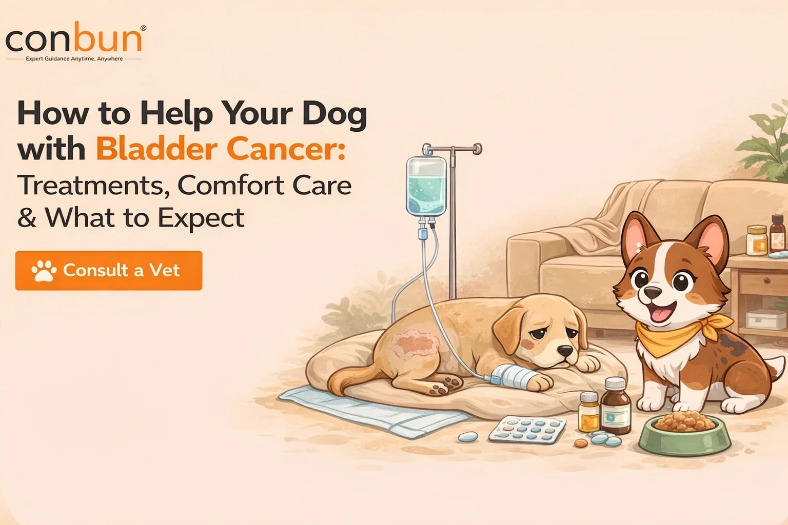 best online vet consultation india