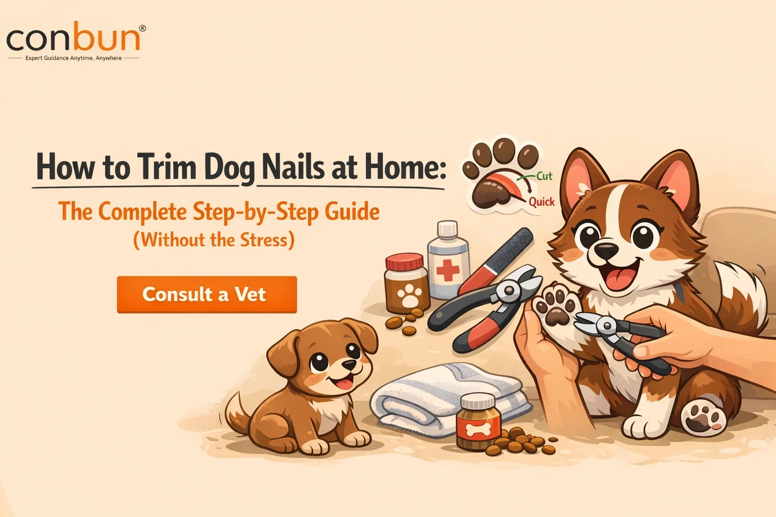 best online vet consultation india