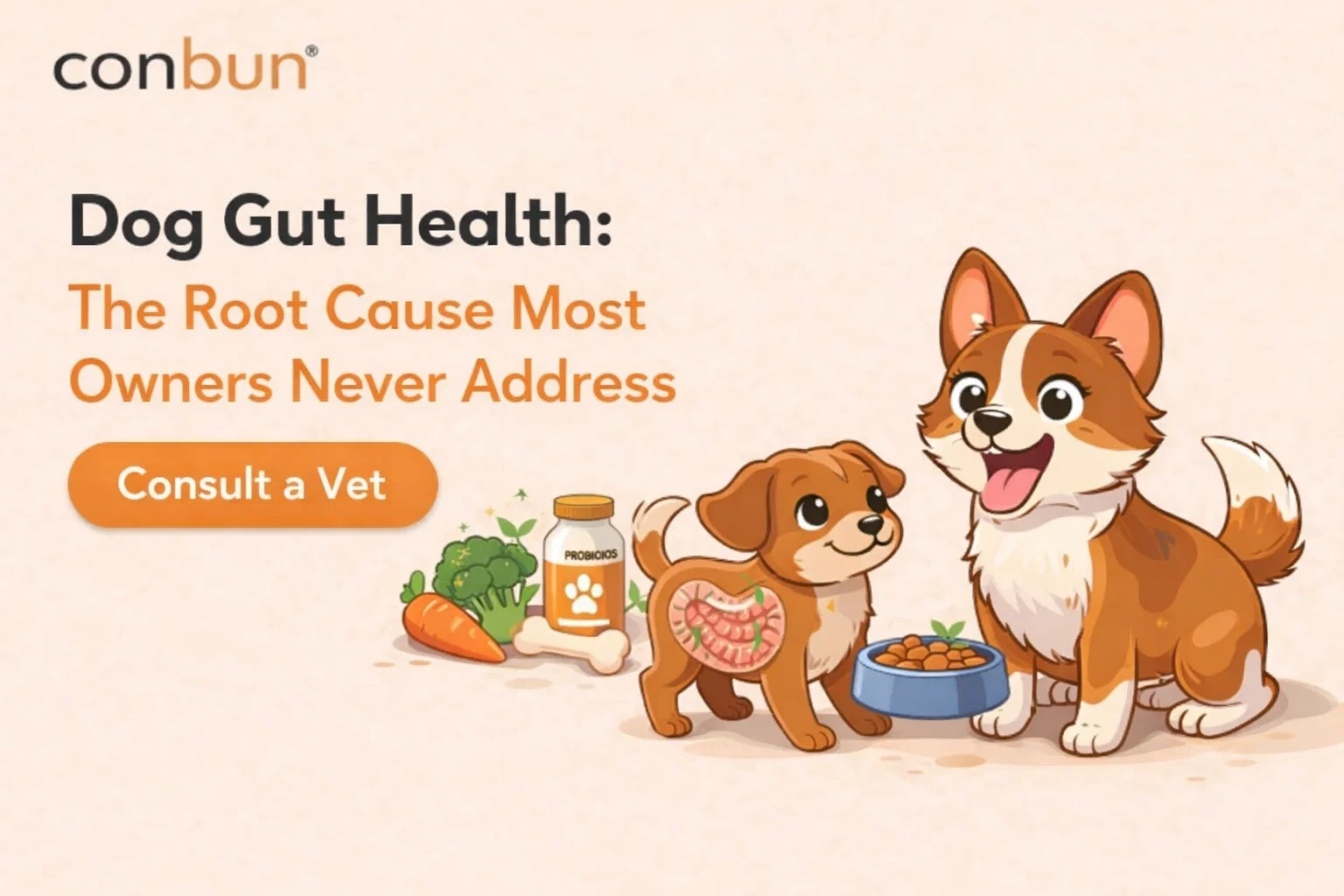 best online vet consultation india