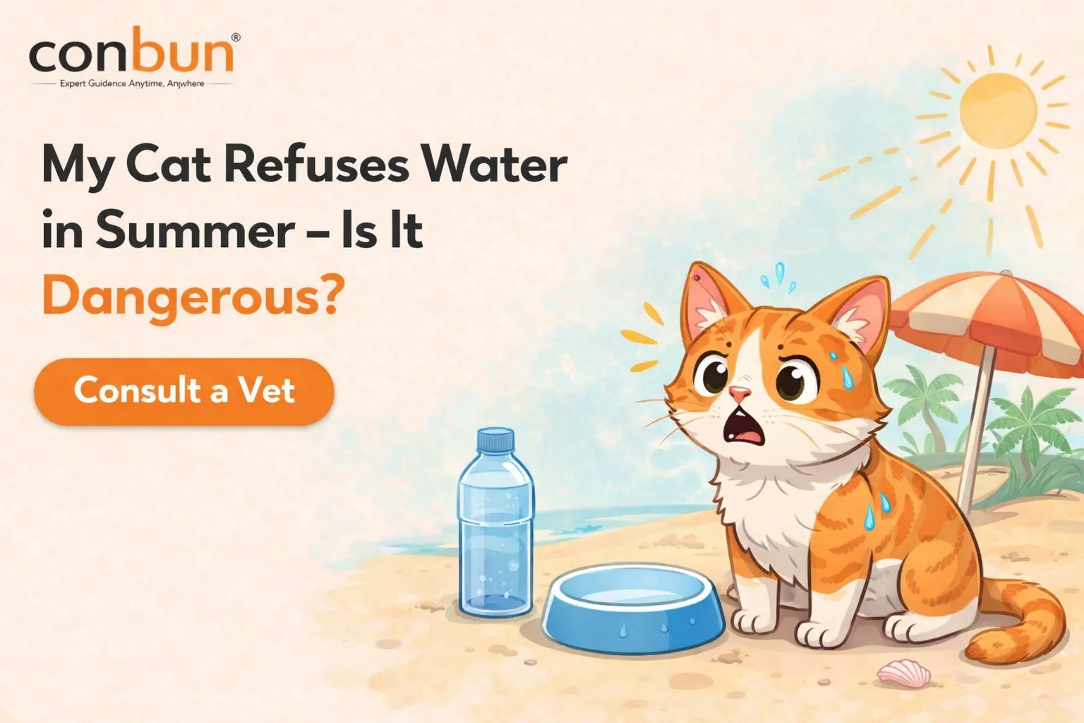 best online vet consultation india