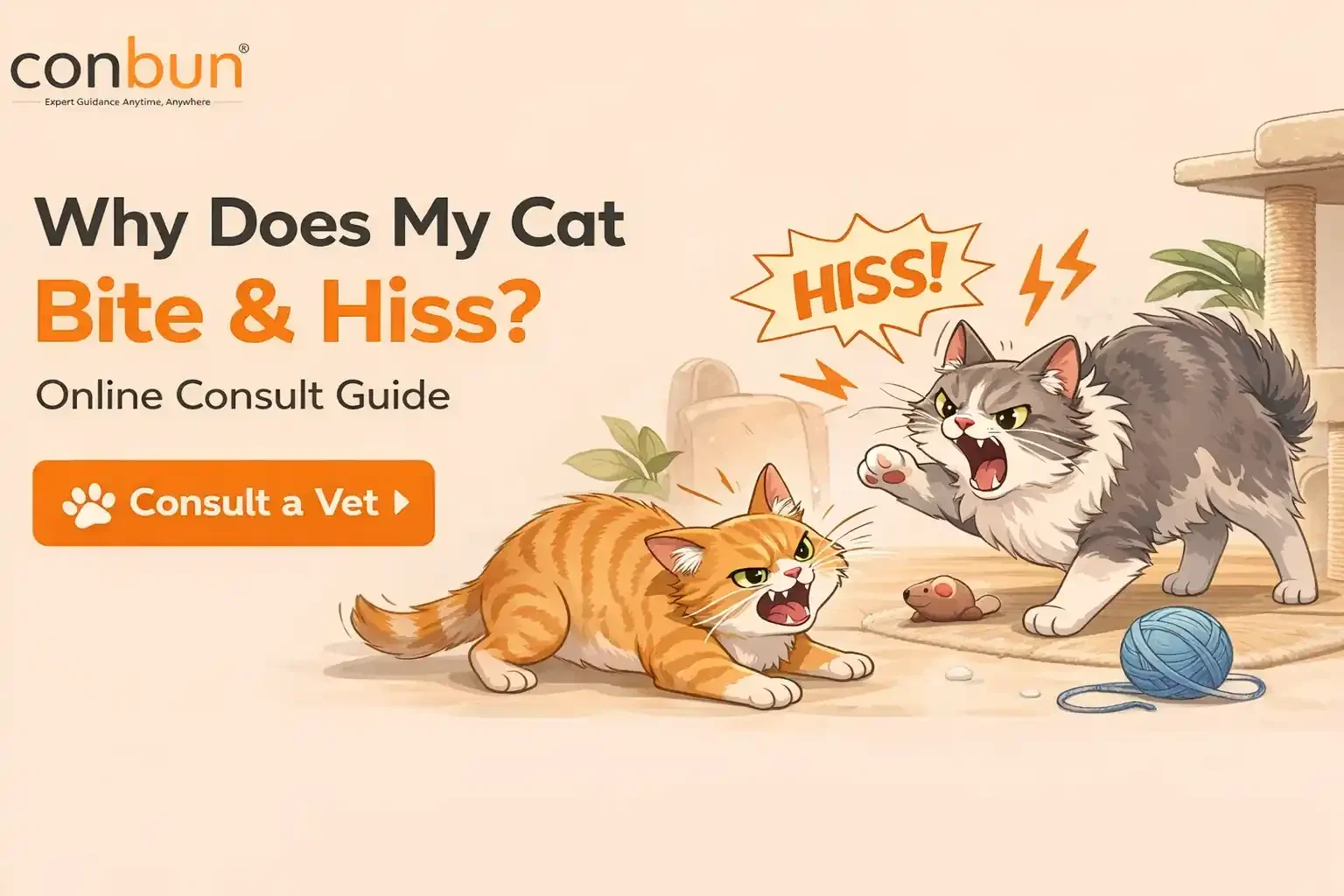 best online vet consultation india