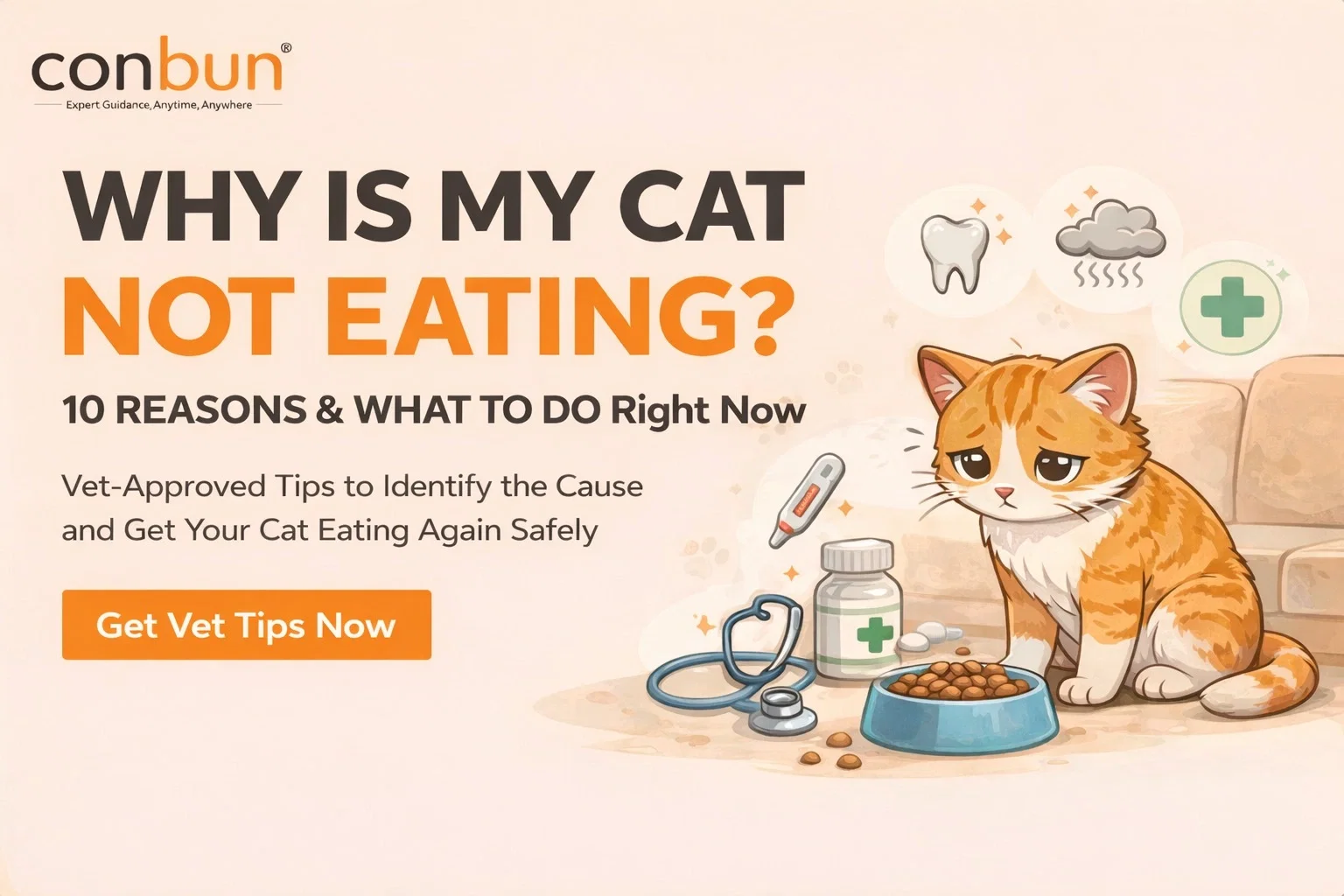 best online vet consultation india