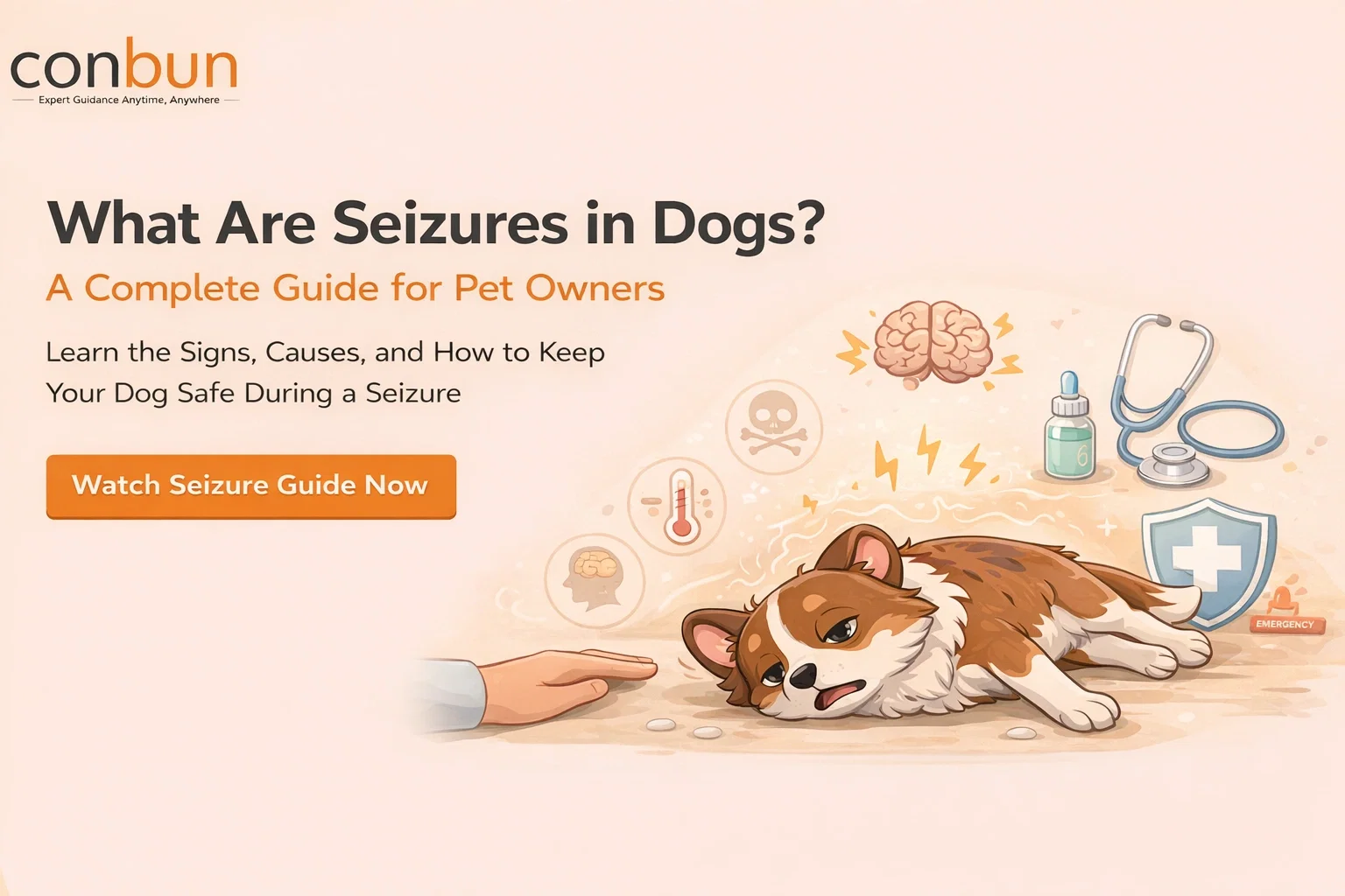 best online vet consultation india