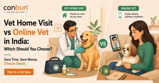 best online vet consultation india
