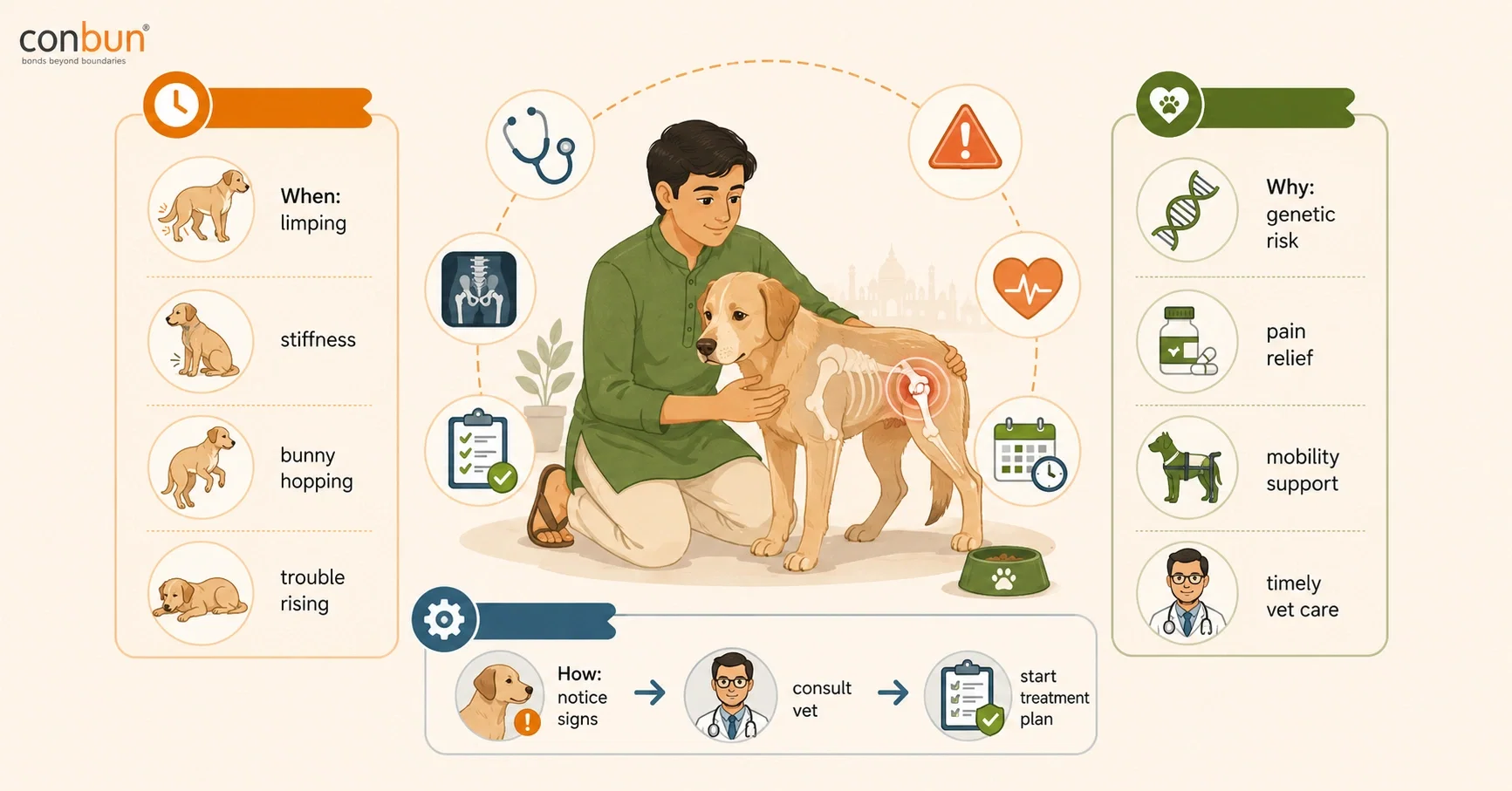 best online vet consultation india