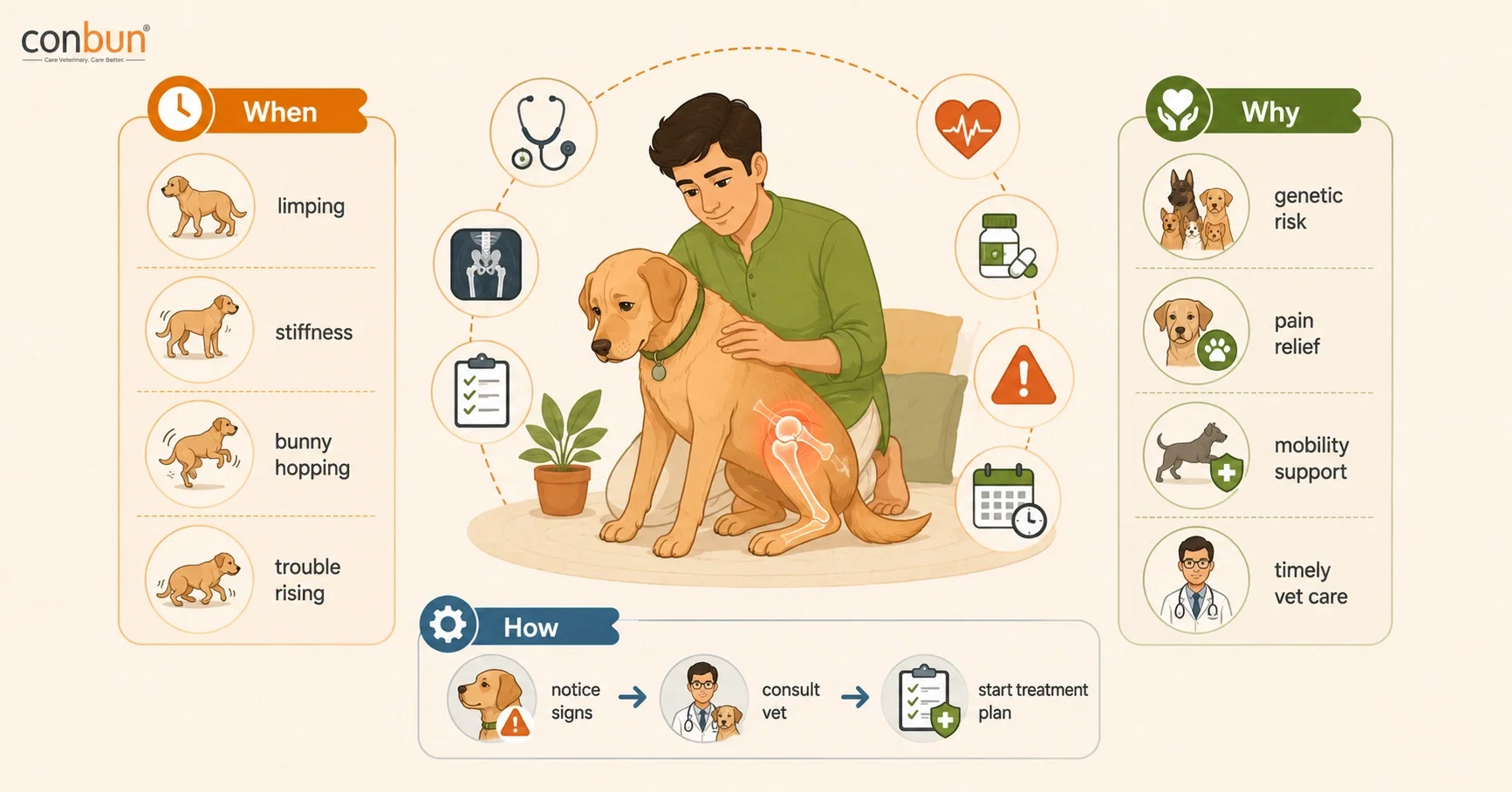 best online vet consultation india