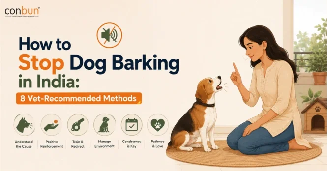best online vet consultation india