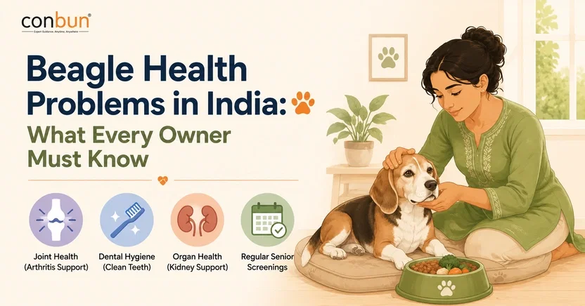 best online vet consultation india