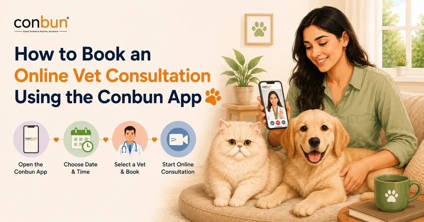 best online vet consultation india