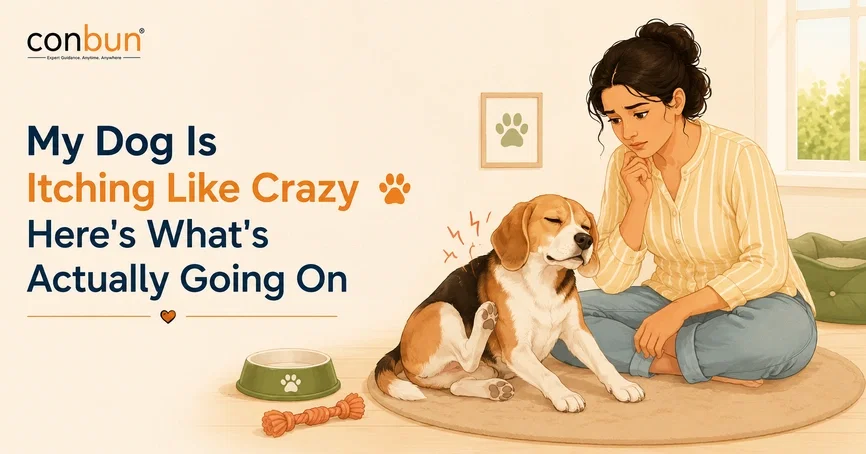 best online vet consultation india