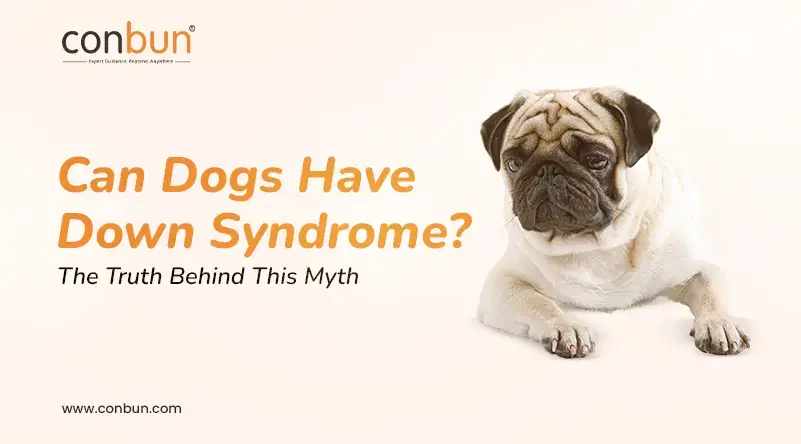 Can Dogs Have Down Syndrome? The Truth Behind This Myth