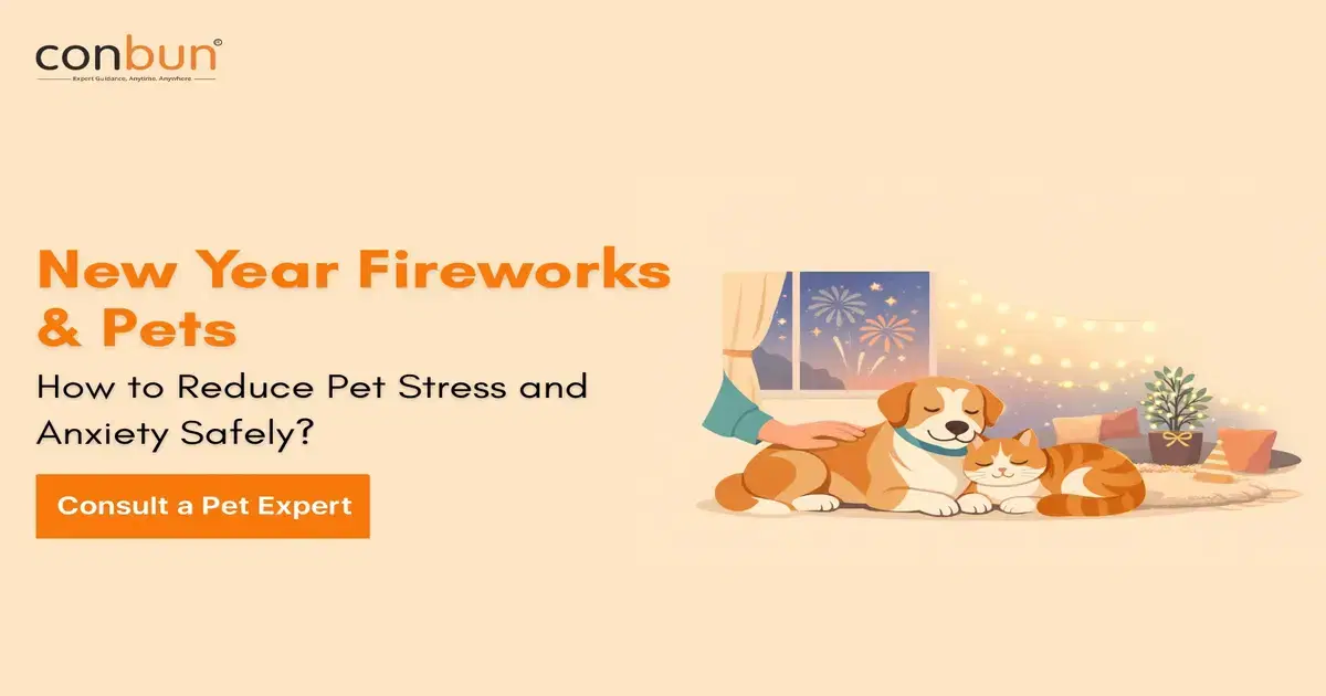 New Year Fireworks & Pets: How to Reduce Pet Stress and Anxiety Safely