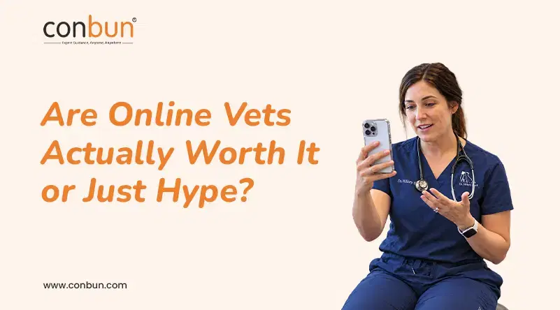 Are Online Vets Actually Worth It or Just Hype?