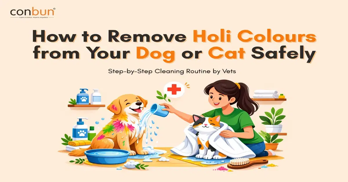 How to Remove Holi Colours from Pets Safely