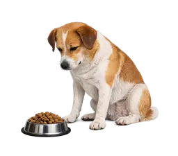 Not Eating