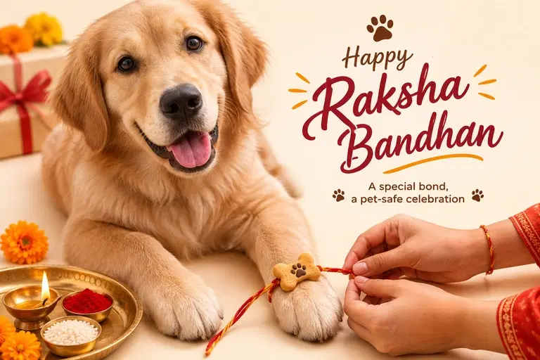 a29028b2-21f7-4c82-afd7-89b8afdef996-rakhi with pets conbun app