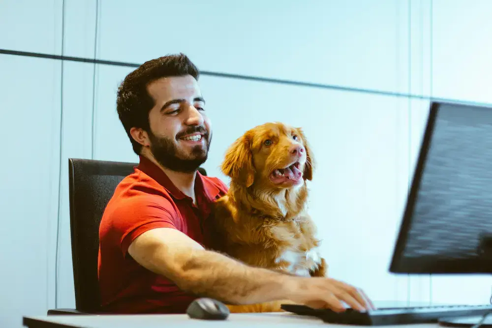 talk to a vet online as your comfort on conbun app