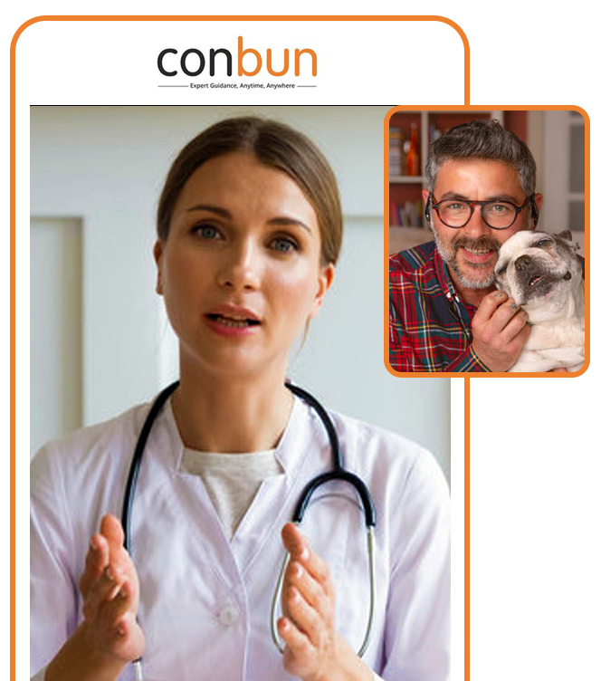 best online vet consultation india