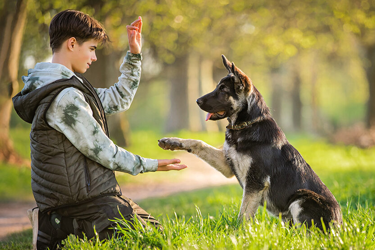 best online vet consultation india