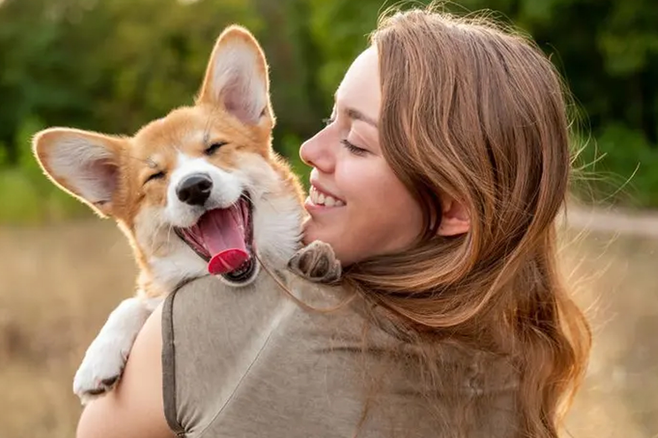 best online vet consultation india