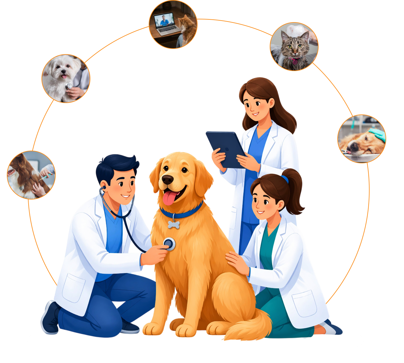 best online vet consultation india
